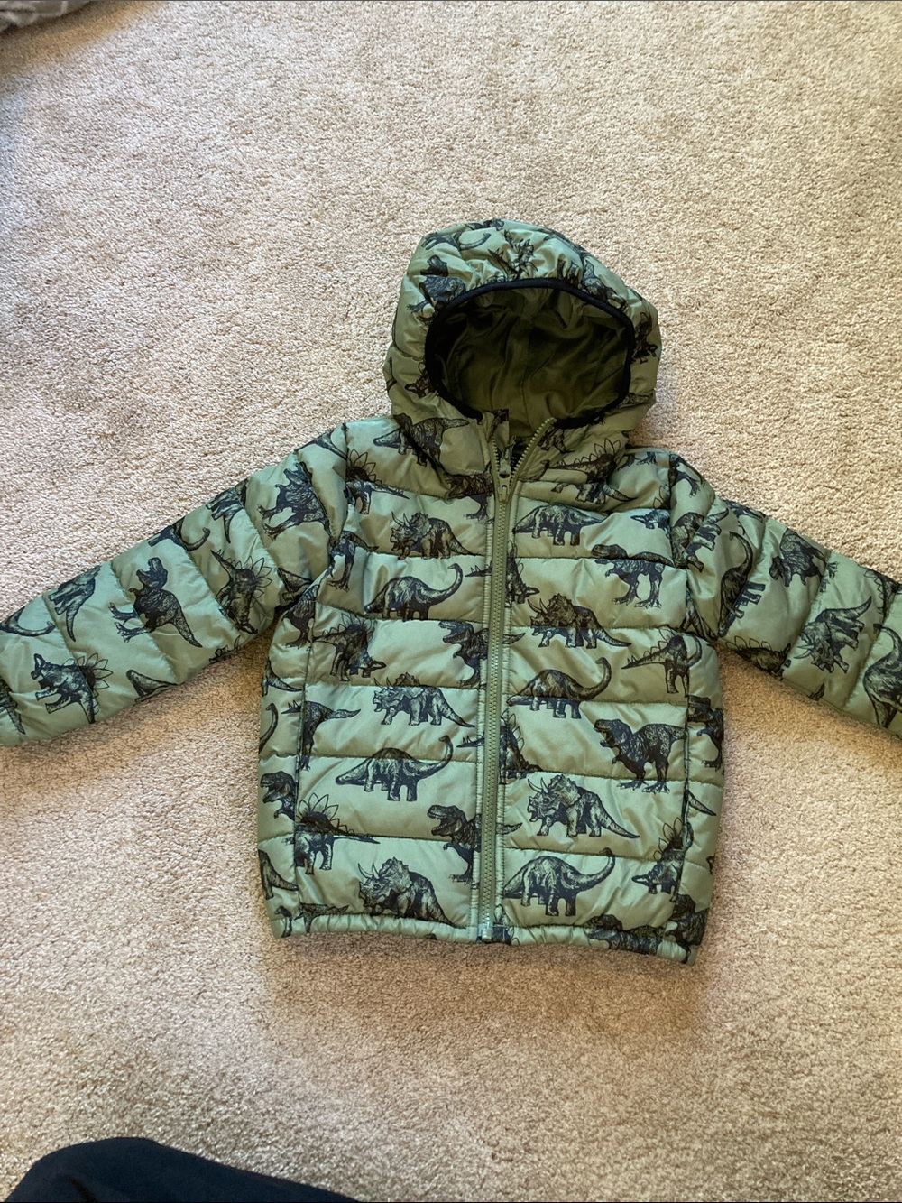 The Children's Place Boys Green Dinosaur Puffer Jacket